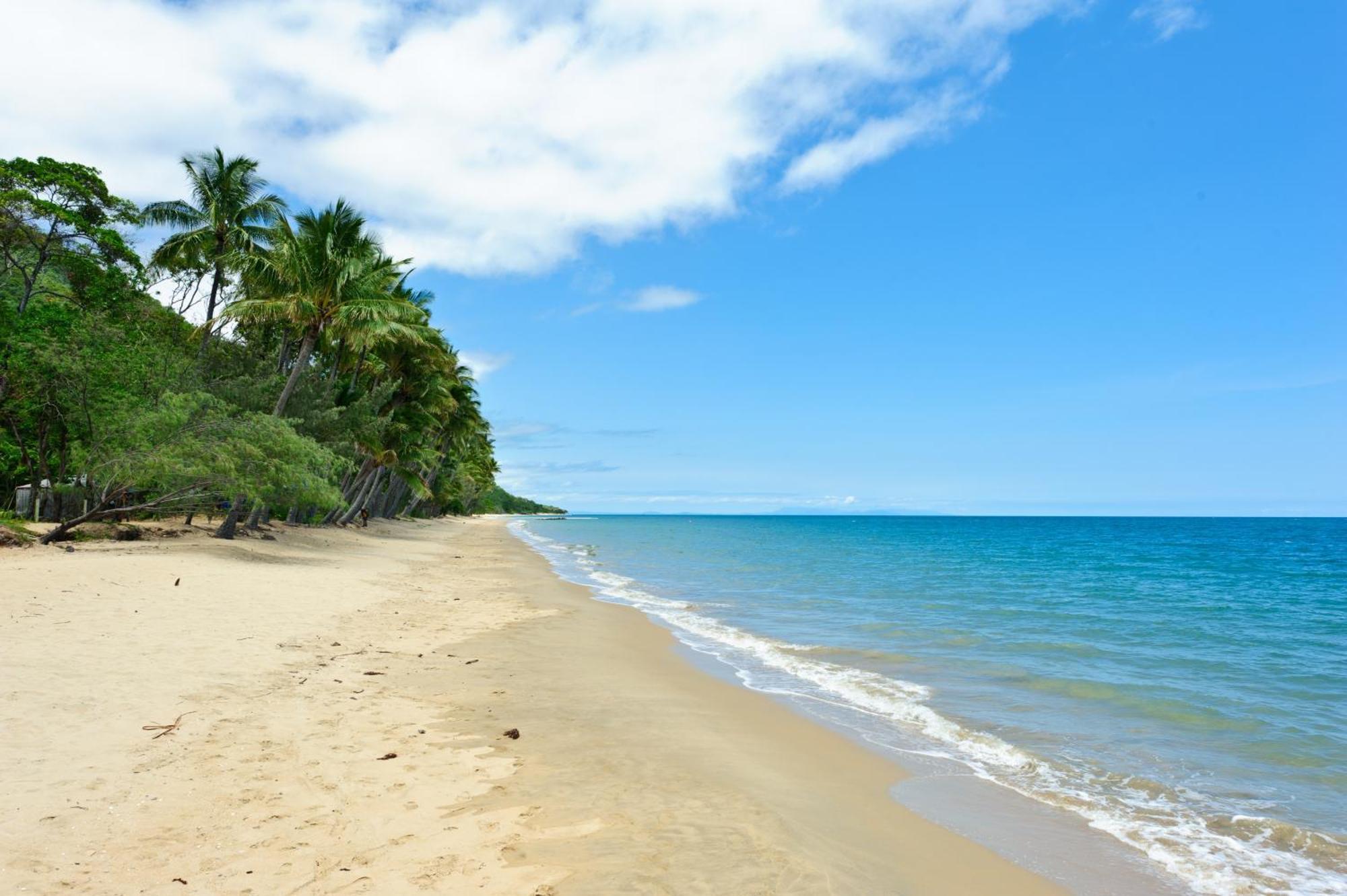 Ellis Beach Oceanfront Holiday Park Palm Cove Ngoại thất bức ảnh